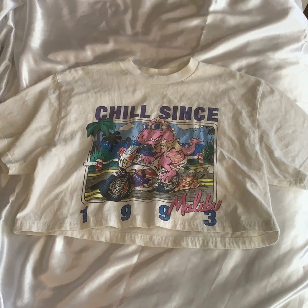 RARE NWOT Brandy Melville x John Galt Chill Since Cropped T